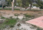 Finca rústica en venda a la España, Sant Vicent del Raspeig, ref.: TR393910 foto
