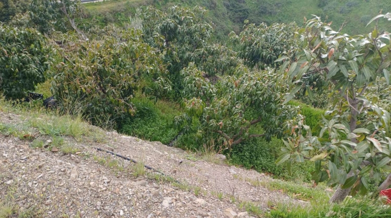 Málaga - Almáchar - 6000m2