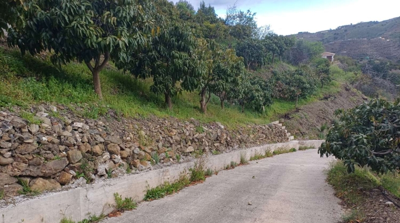 Málaga - Almáchar - 6000m2