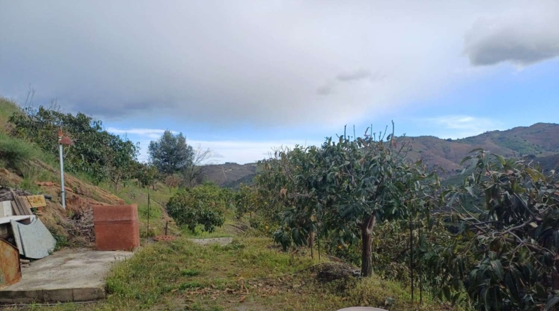 Málaga - Almáchar - 6000m2