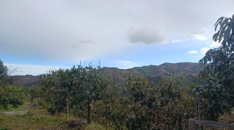 Málaga - Almáchar - 6000m2