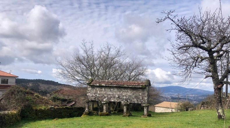 Pontevedra - Pontevedra - 2135m2