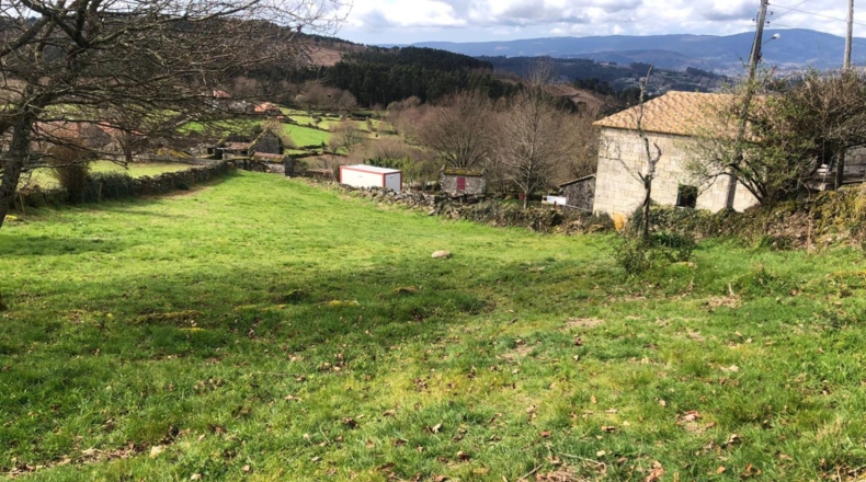 Pontevedra - Pontevedra - 2135m2