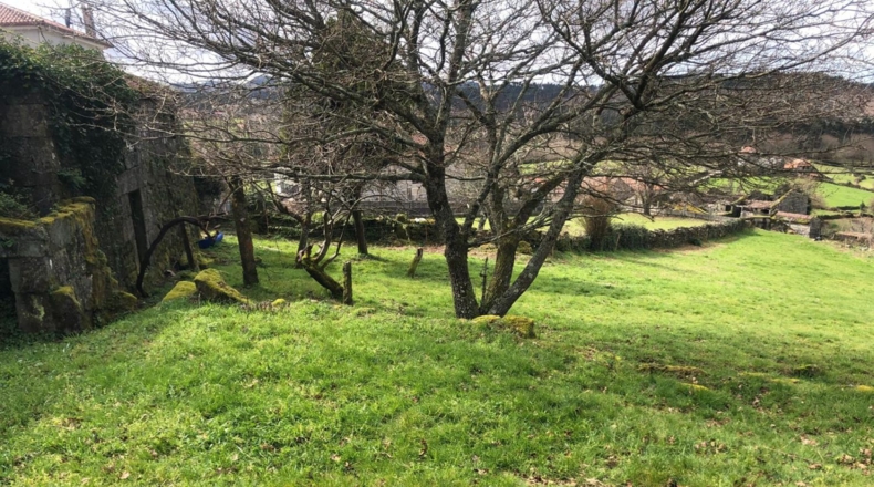 Pontevedra - Pontevedra - 2135m2