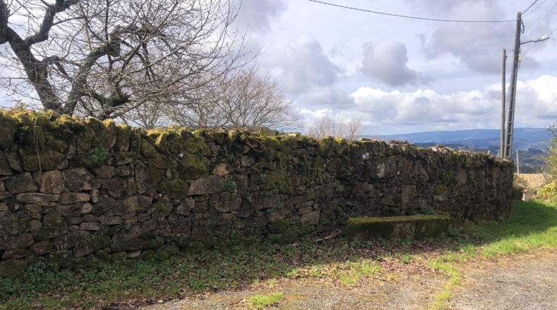 Pontevedra - Pontevedra - 2135m2