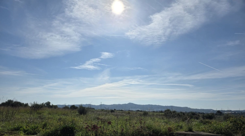 Castellón - la Vall d'Uixó - 339m2