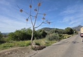 Suelo urbano en venta en La Vall d'Uixó ref: TR393449 foto
