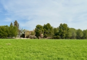 Rural estate for sale in Torrenueva ref: TR393420 photo