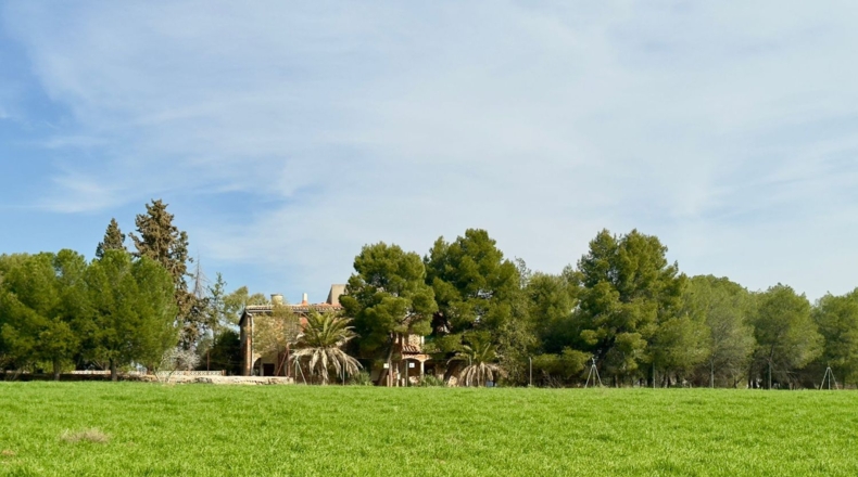 Ciudad Real - Torrenueva - 471319m2