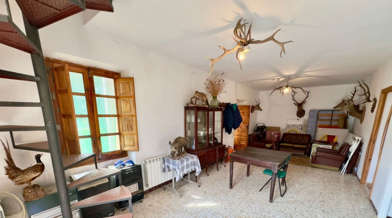Ciudad Real - Torrenueva - 471319m2