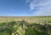Rural estate for sale in Torrenueva ref: TR393420 photo