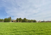 Rural estate for sale in Torrenueva ref: TR393420 photo