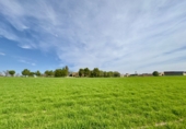 Rural estate for sale in Torrenueva ref: TR393420 photo