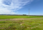 Rural estate for sale in Torrenueva ref: TR393420 photo