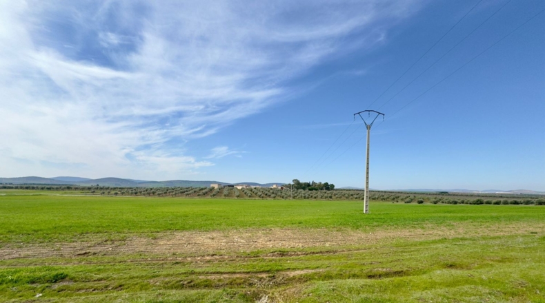 Ciudad Real - Torrenueva - 471319m2