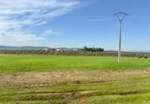 Rural estate for sale in Torrenueva ref: TR393420 photo