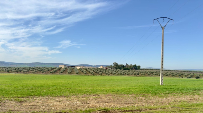 Ciudad Real - Torrenueva - 471319m2