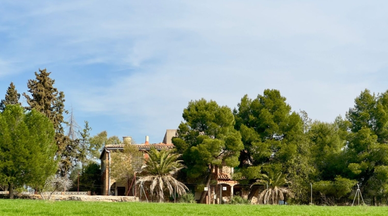 Ciudad Real - Torrenueva - 471319m2