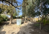Rural estate for sale in Torrenueva ref: TR393420 photo