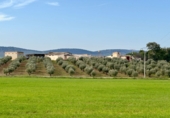 Rural estate for sale in Torrenueva ref: TR393420 photo