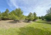 Rural estate for sale in Torrenueva ref: TR393420 photo