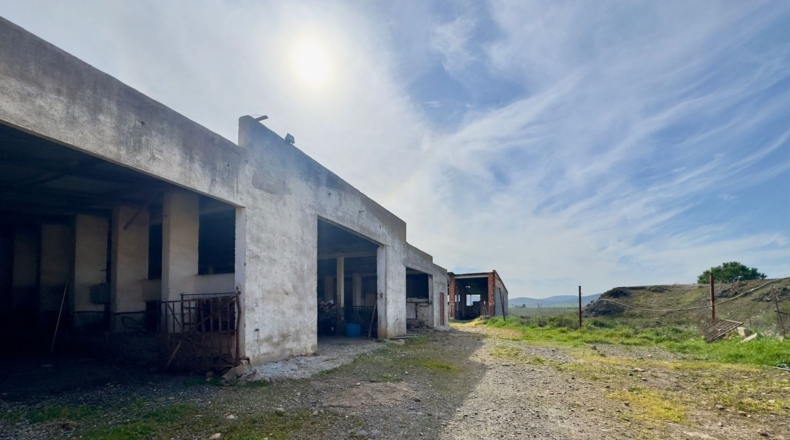 Ciudad Real - Torrenueva - 471319m2