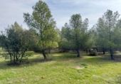 Rural estate for sale in Torrenueva ref: TR393420 photo