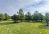 Rural estate for sale in Torrenueva ref: TR393420 photo