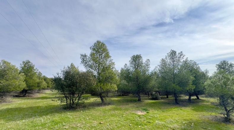 Ciudad Real - Torrenueva - 471319m2