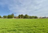 Rural estate for sale in Torrenueva ref: TR393420 photo