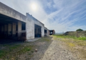 Rural estate for sale in Torrenueva ref: TR393420 photo