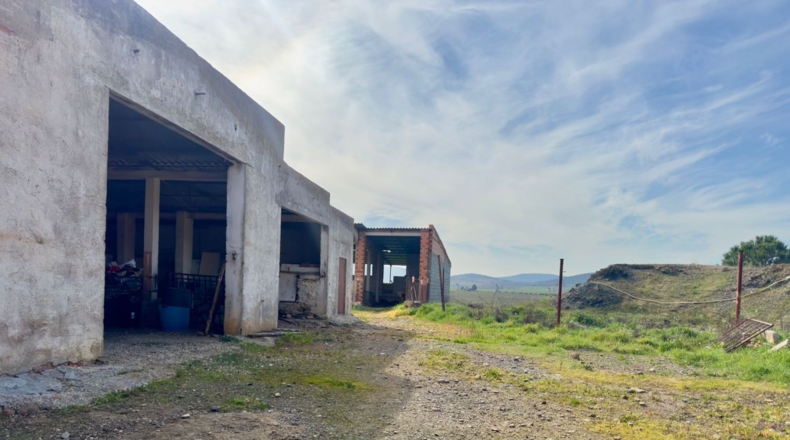Ciudad Real - Torrenueva - 471319m2