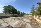 Rural estate for sale in Torrenueva ref: TR393420 photo