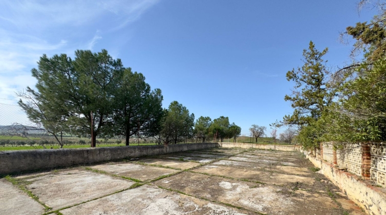 Ciudad Real - Torrenueva - 471319m2