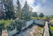 Rural estate for sale in Torrenueva ref: TR393420 photo