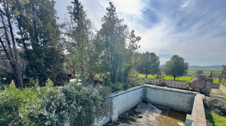Ciudad Real - Torrenueva - 471319m2