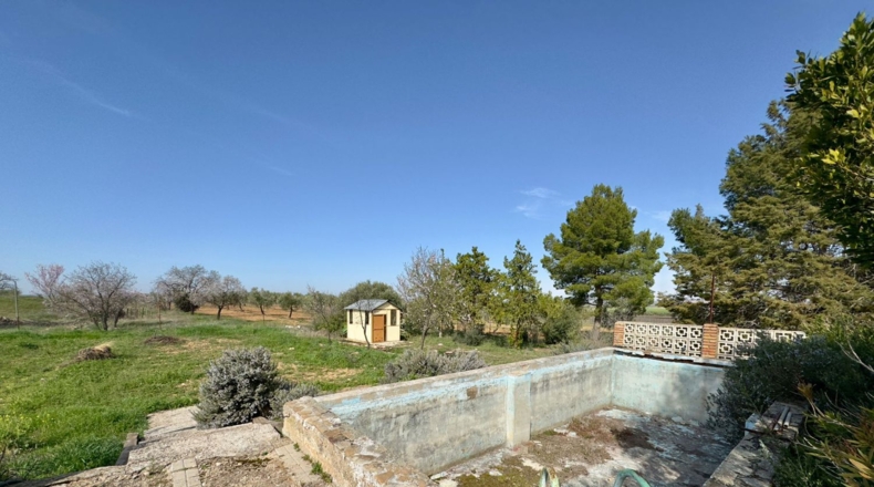 Ciudad Real - Torrenueva - 471319m2