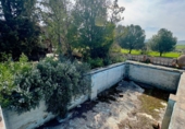 Rural estate for sale in Torrenueva ref: TR393420 photo