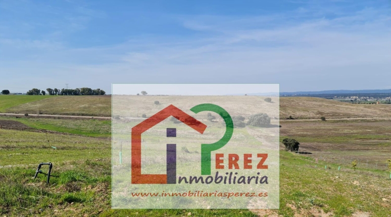 Toledo - Lucillos - 14m2