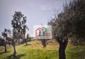 Terreno no urbanizable en venta en Lucillos ref: TR393552 foto