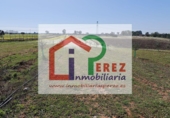 Terreno no urbanizable en venta en Lucillos ref: TR393552 foto