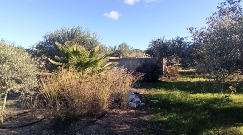 Tarragona - l'Aleixar - 7057m2