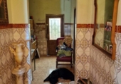 Semi-detached house with land for sale in Elda ref: TR393804 photo