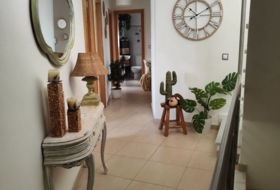 Foto 19