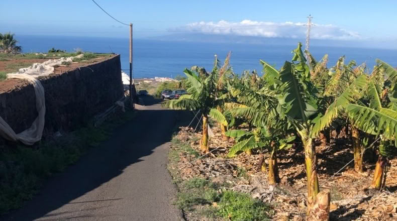 Santa Cruz de Tenerife - Guía de Isora - 80000m2