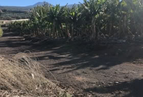 Guía de Isora 80000&nbsp;м²