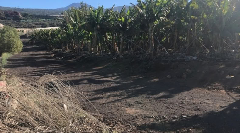 Santa Cruz de Tenerife - Guía de Isora - 80000m2