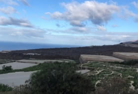 Guía de Isora 80000&nbsp;м²