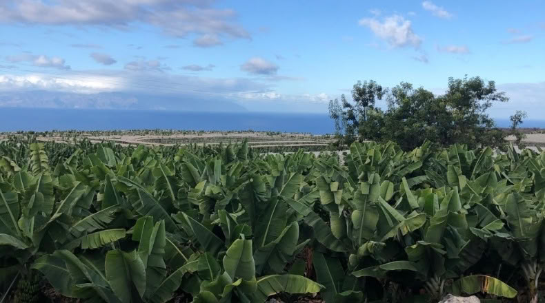 Santa Cruz de Tenerife - Guía de Isora - 80000m2