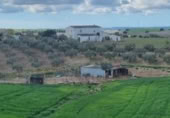 Rural estate for sale on Calle Cuesta de San Antonio 158 A, San José del Valle, ref: TR393906 photo